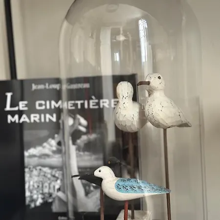 Апартаменты Le Mistral Setois Climatise En Plein Coeur De